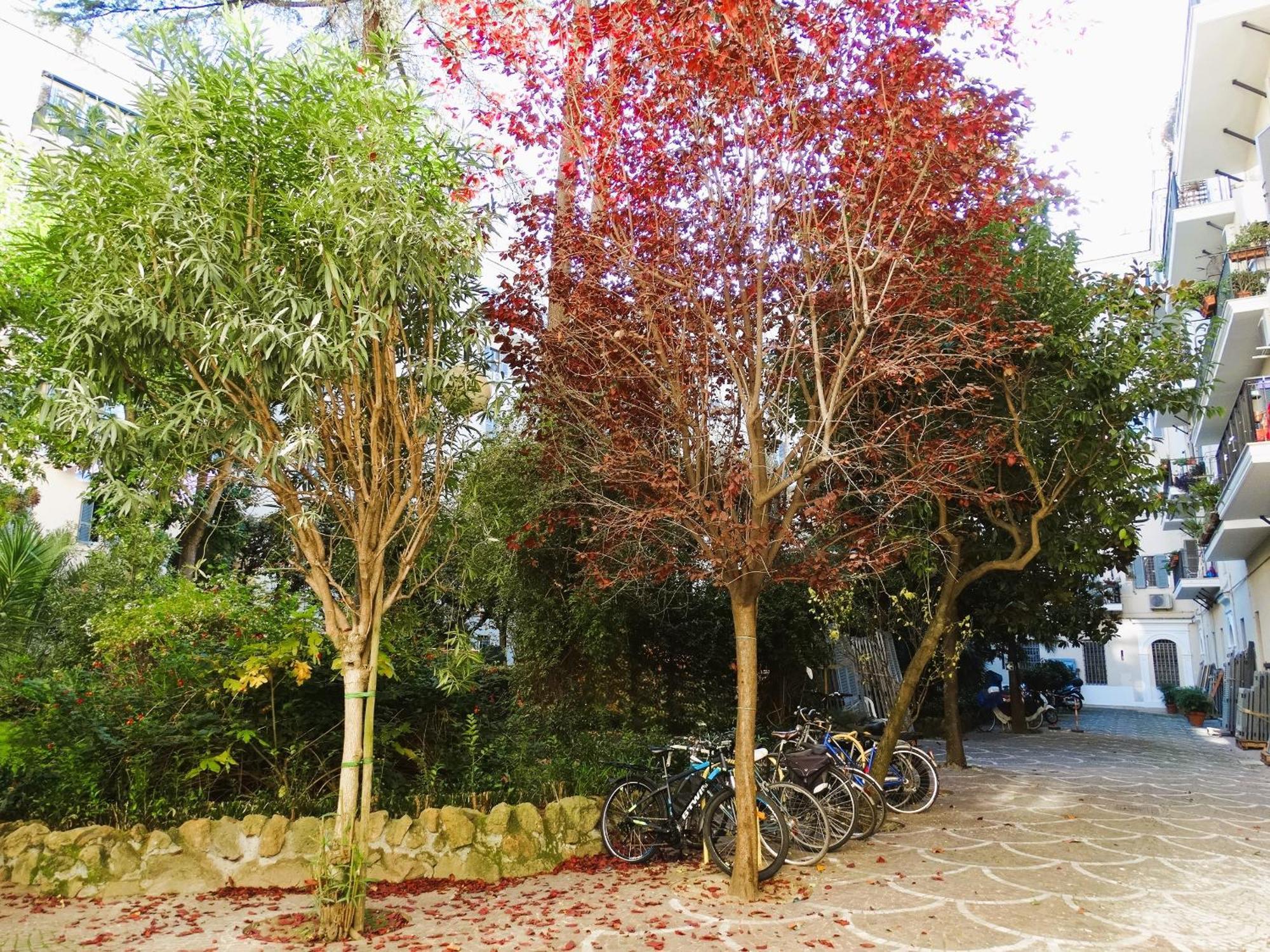 Domus Dino Apartment Rome Luaran gambar